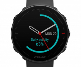 Polar Vantage M