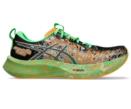 Asics Noosa tri 16