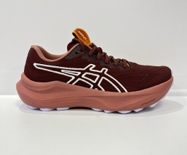 Asics Gt 2000 14 Tr W