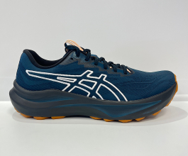 Asics Gt 2000 14 Tr