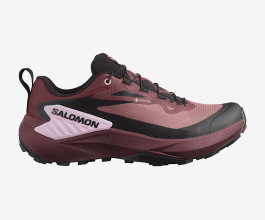 Salomon Genesis Gtx W