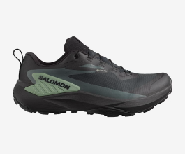 Salomon Gtx
