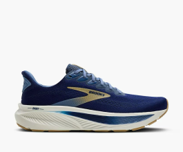 Brooks Ghost 17