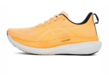 Asics Glideride Max 2