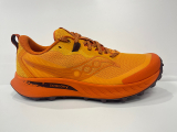 Saucony Peregrine 15